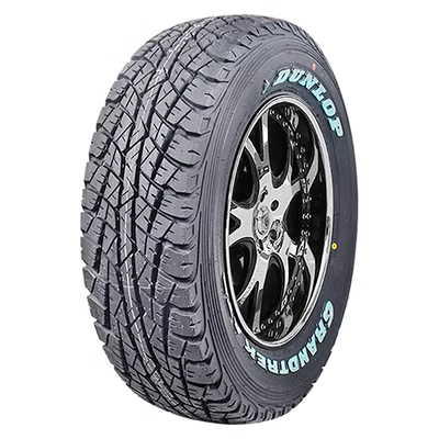 Dunlop vs Michelin: So Sánh Lốp Xe Nào Tốt Hơn?