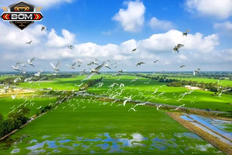 Đôi nét về vườn quốc gia Tràm Chim Đồng Tháp