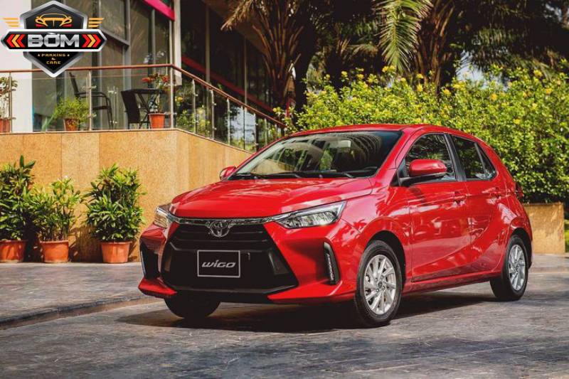 Thuê xe đi Cần Giờ: Tài xế chuyên nghiệp, giá ưu đãi từ Bờm Auto
